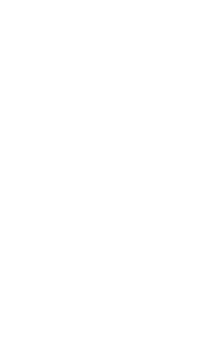 impact_icon_left